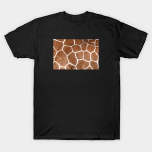 Giraffe / Swiss Artwork Photography T-Shirt